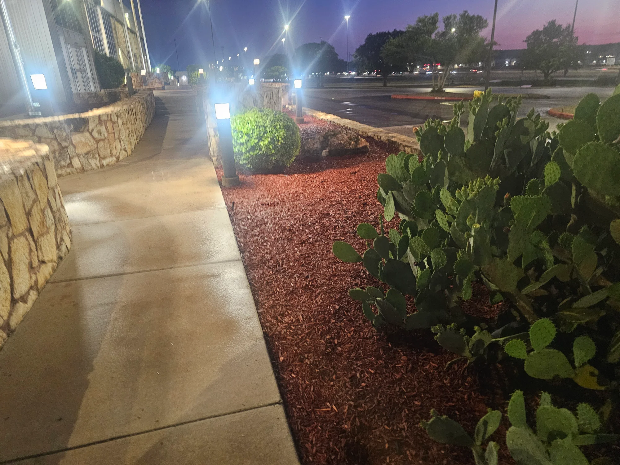 Commercial Landscape Enhancement